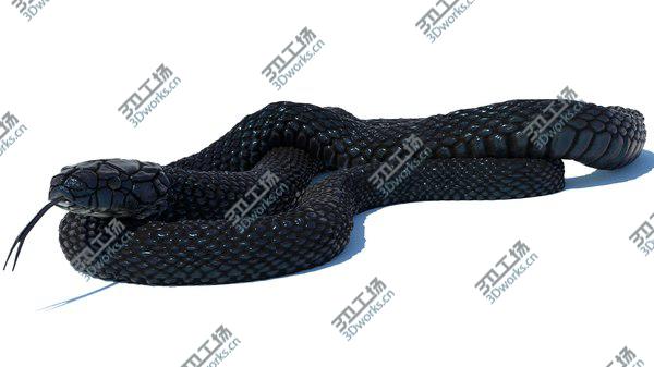 images/goods_img/20210312/3D model Egyptian Cobra Rigged Animated/2.jpg